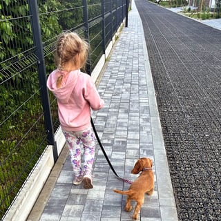 Work-Life Balance? Or Work-Life Integration?